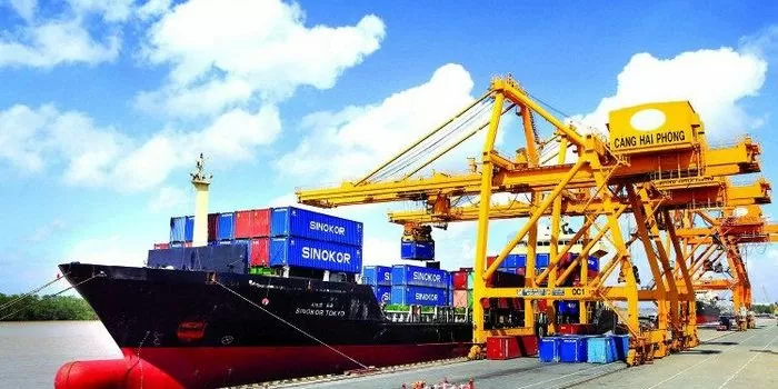 Nghiệp vụ xuất nhập khẩu và khai báo hải quan