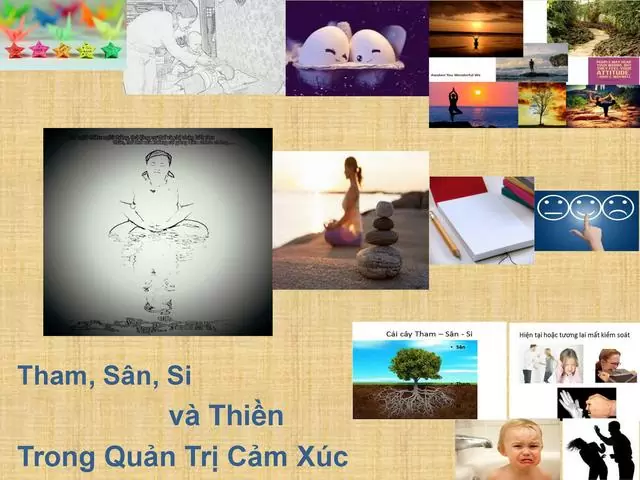 Tham, Sân, Si và thiền trong quản trị cảm xúc